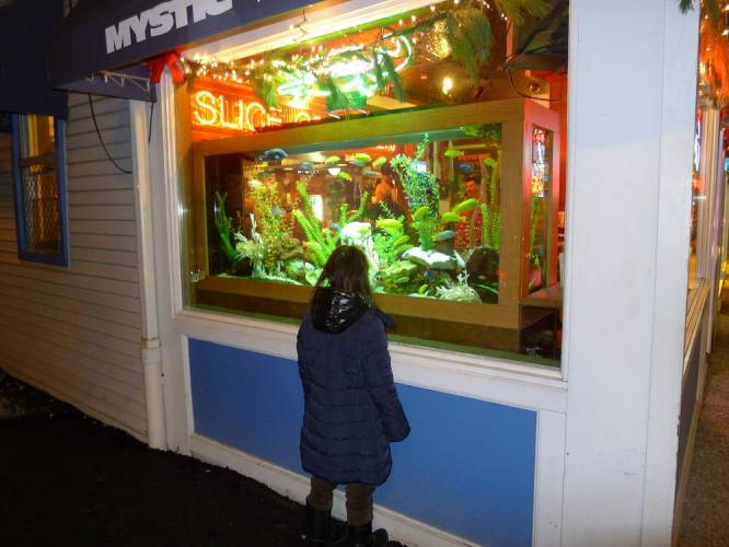 USA_2011-11-25 18-17-32